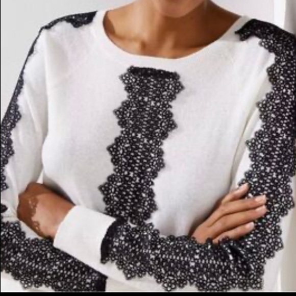 Ann Taylor LOFT Bundle of 3 Pullover Knit Sweaters M EUC - Picture 5 of 14